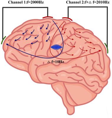 A mini-review: recent advancements in temporal interference stimulation in modulating brain function and behavior